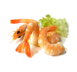 shrimps